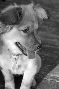 Linda Blakely Photography