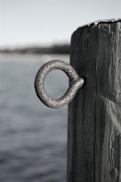 Linda Blakely Photography